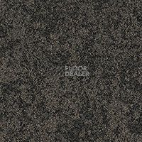 Ковровая плитка Standard Carpets Sky Gardens 549 фото 1 | FLOORDEALER